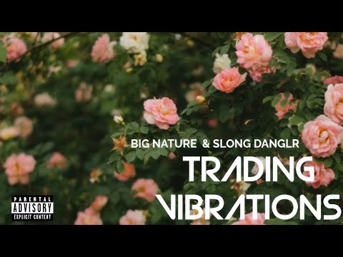 Slong Danglr & Big Nature - Trading Vibration (Audio)