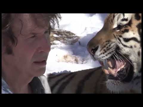 Allee's Movie Nights: Neil Breen's Pass Thru