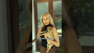 Download lagu Never Buy, Always Adopt! | Otara Gunewardene mp3