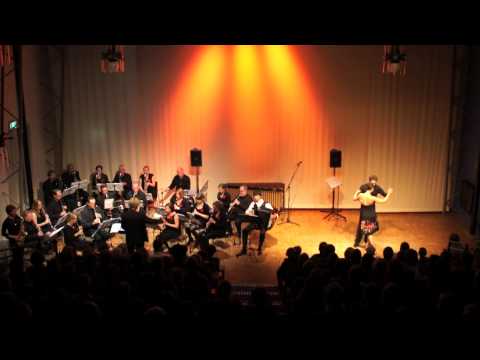 KlarinetNsemble - Celos - Piazzolla