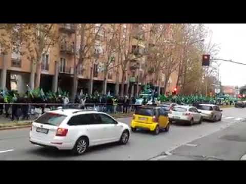 Questa è Bologna in via San Donato,  invasa da Islamici