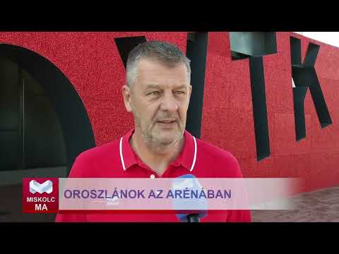 Videó előnézet
