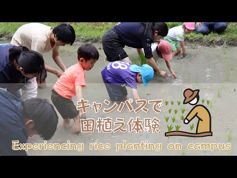 【20230608】附属幼稚園の園児ら19人が理学部の学生と一緒にキャンパス内で田植え