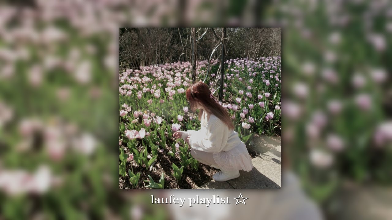 laufey playlist ☆