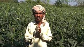 preview picture of video 'Gandulkhat vaprun sheti Kara faidrshir'