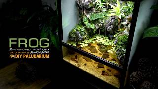 Creating FROG Waterfall Forest Heaven Vivarium l Paludarium