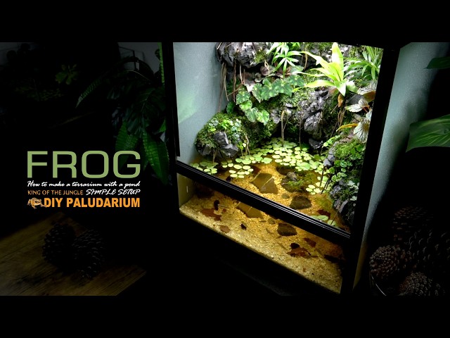 Mimosa Pudica™ 水族造景专用发泡胶｜安全无毒｜强力固定｜生态缸/雨林缸适用｜900ml