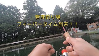 管理釣り場　フィーバータイム