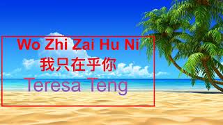 Teresa Teng - Wo Zhi Zai Hu Ni (我只在乎你) // Easy Lyrics