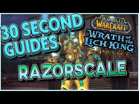 Razorscale  - Ulduar - 30 Second Guides