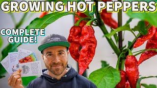 Hot Pepper Growing Guide: Sow These Summer Veggies FIRST!
