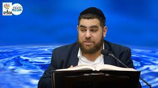 הרב יצחק יוסף (הנכד) - המשך הלכות ריבית | לקחתה משכן שלך ביצה והחזרתה לו ביצה עברתה על איסור ריבית!! (ארגון ענפים) - התמונה מוצגת ישירות מתוך אתר האינטרנט יוטיוב. זכויות היוצרים בתמונה שייכות ליוצרה. קישור קרדיט למקור התוכן נמצא בתוך דף הסרטון