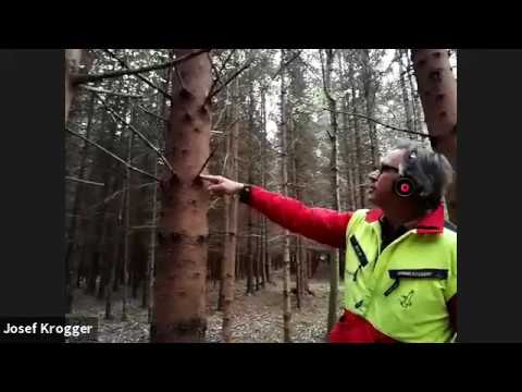 Netzwerk Zukunftsraum Land LE14-20 FARMINAR "Waldpflege", 26.04.2019