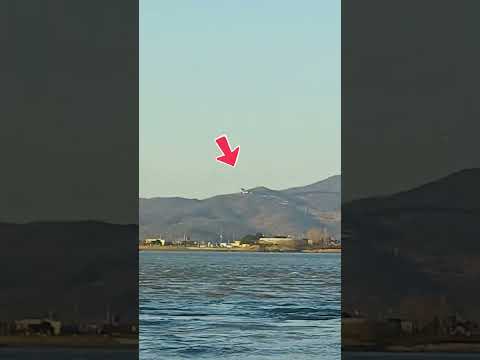 Power of FE 200-600mm f5.6-6.3 G OSS #shortvideo  #satisfying  #sony