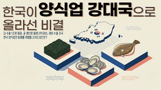김 1조 수출, 굴 세계 2위... 대한민국이 양식업 강대국으로 올라선 비결