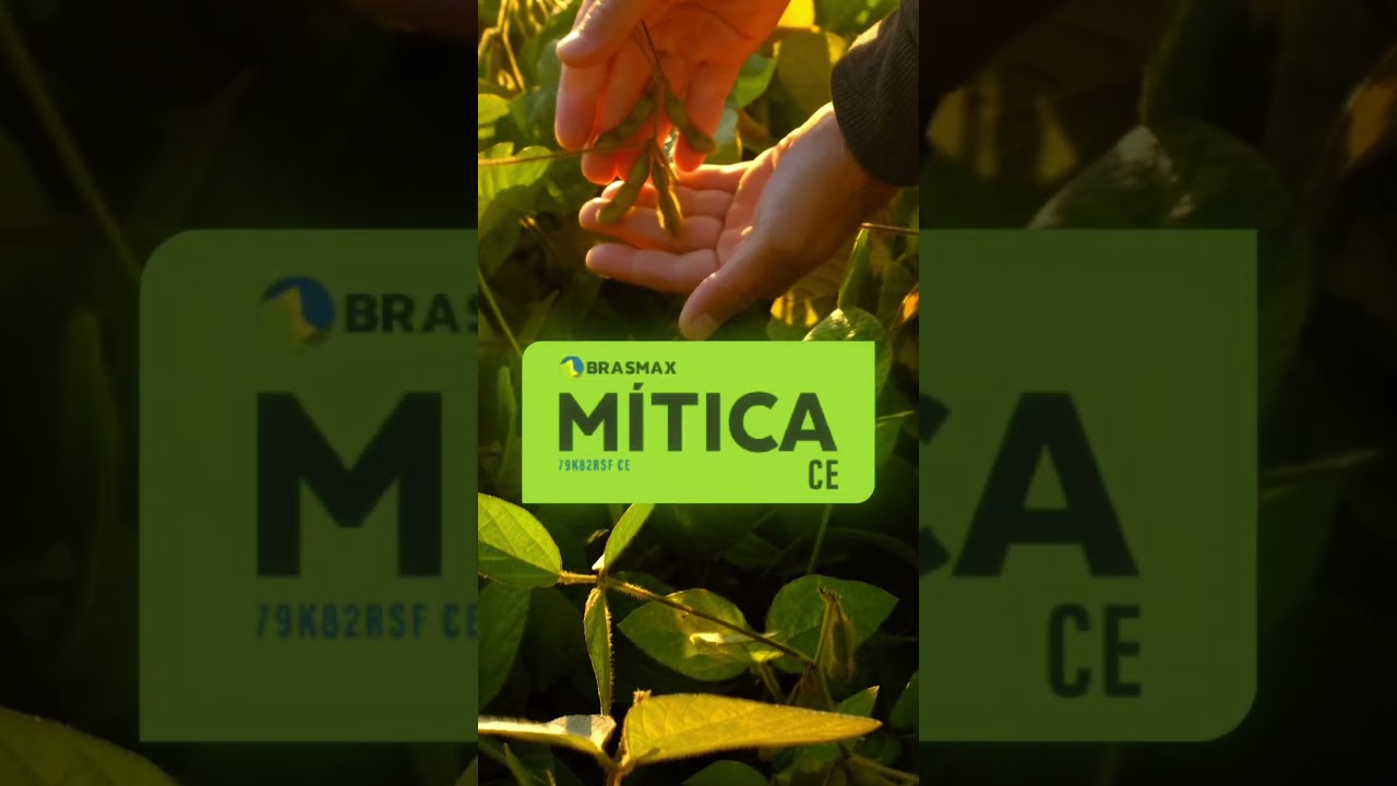 O plantio está chegando | Mítica CE