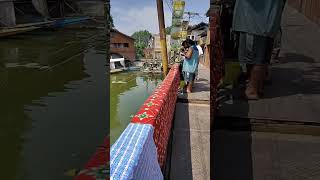 Dal lake k khubsurat Nazare we are live...#kasmir #dallakesrinagar #srinagar