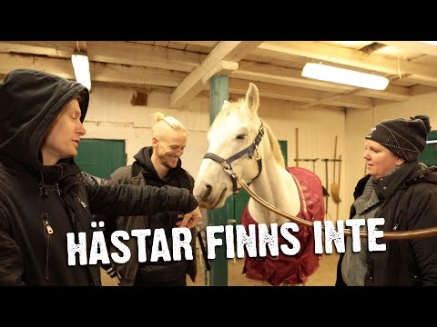 Älskar du djur? Gör som Catrin och gör det till ditt jobb.