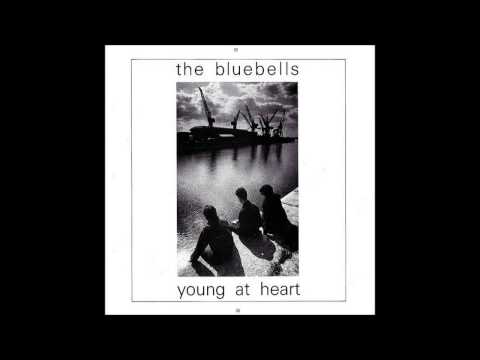 The Bluebells - 1984 - Young At Heart