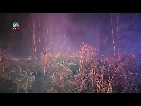 Incendio Forestal sector Los Zorros, comuna de Rauco Región del Maule