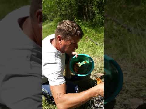 sa va prezint jumatate din trupa Botfei 6,06,2021