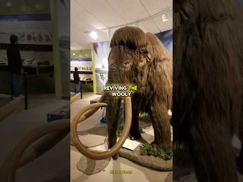 You can see mammoths in a few years 😱🦣 #mammoth #colossal #direwolf