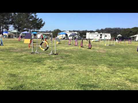 Bev and Pixie - Masters Challenge Standard (14") - 2015-04-17