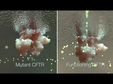 Cystic Fibrosis Mechanism and Treatment | HHMI BioInteractive Video