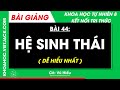 Khoa học tự nhiên 8 Bài 44: Hệ sinh thái | Kết nối tri thức