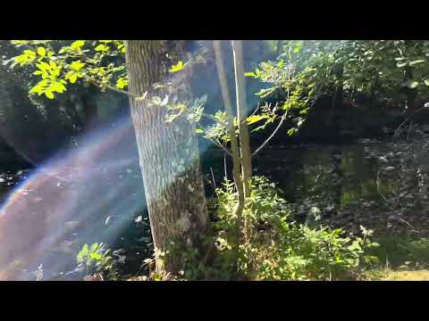 Camping Ushuaia Villages L'Oasis - Camping Ardèche - Image N°41