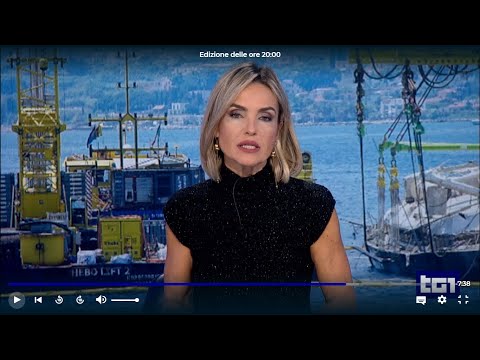 The Bayesian Case on TG1: Million-Dollar Compensation Request from TISG and Unpublished Images...