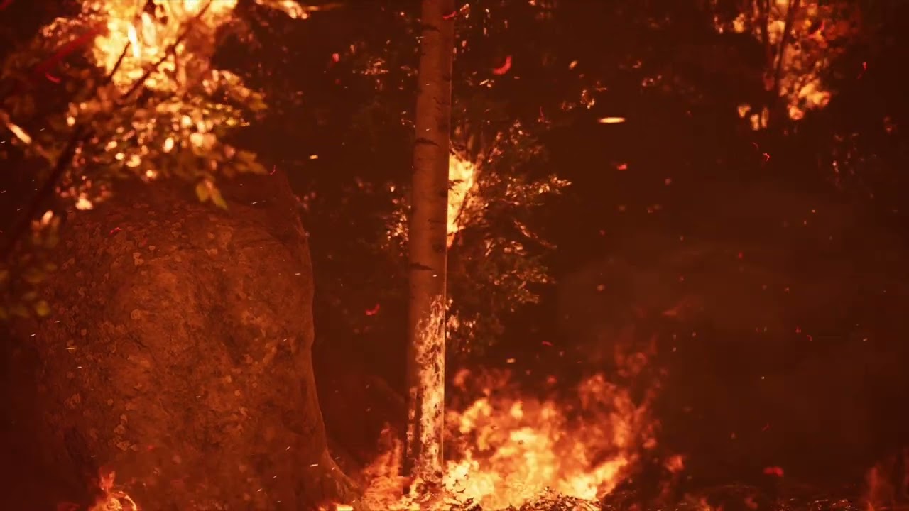 4K 2-Hour Long Forest Fire Burning Sound Loop with Video. Top Quality Content