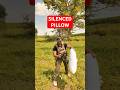 Using A Silencer And Pillow To Silence A Gunshot