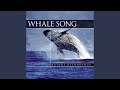 Whale Song 1