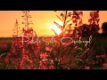 Pookale Satru Oivedungal WhatsApp Status In Tamil