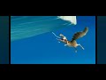 Ice Age The Meltdown 2006 Full Screen Scrat Got Stuck Into His Tongue