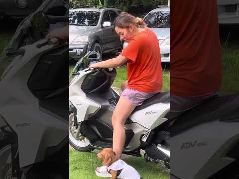 AMAROO | S6XTH XTORY EP. 037