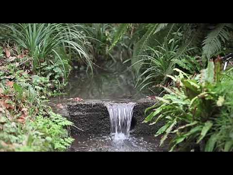 Drugan Vasile - Venea vaduva de acasa