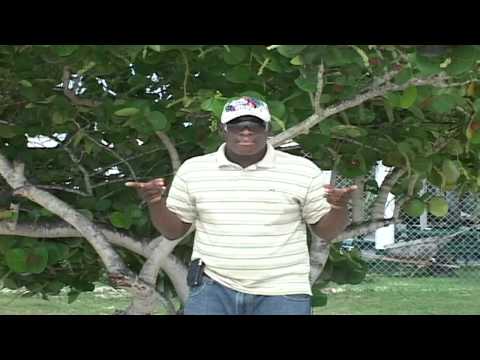 Prince of Fame - One More Night (Adopted)