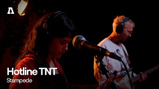 Hotline TNT Stampede - Audiotree Live song
