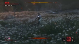 音声無 SEKIRO ラスボス、倒す。