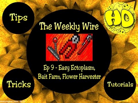 Terraria: The Weekly Wire Ep9 - Easy Ectoplasm, Bait Farm, & Auto Gardens!