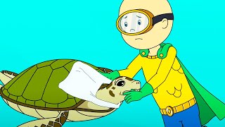 Sea Turtle Rescue | Caillou Cartoon