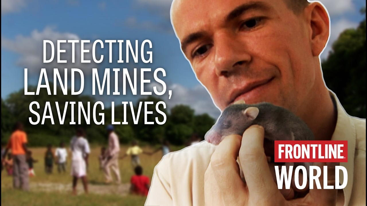 The Hero Rats of Tanzania (full documentary) | FRONTLINE/World