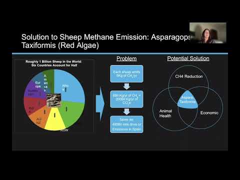 2022 Northeast Integrated Pest Management Research Update Conference