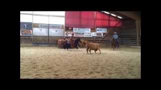 Champion Limit $5000 NCHA France - Charmot Quarter horse