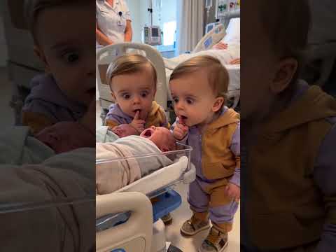 Twin Toddlers Meet Newborns 😂👶#TwinToddlers #NewbornBabies #ToddlerReaction #FunnyToddler #FunnyKids