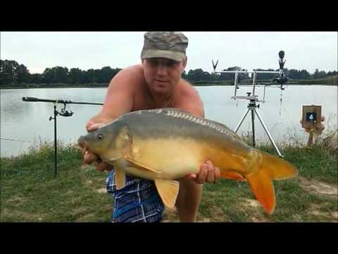 Karpie prosto z komercji