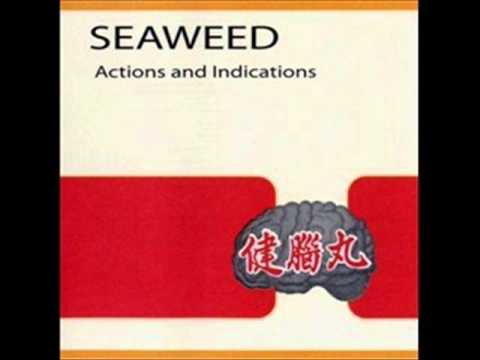 Seaweed -  Against the sky