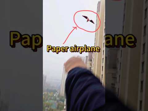 Throw a paper airplane that flies far and high | paper plane | paper aeroplane | paper airplane